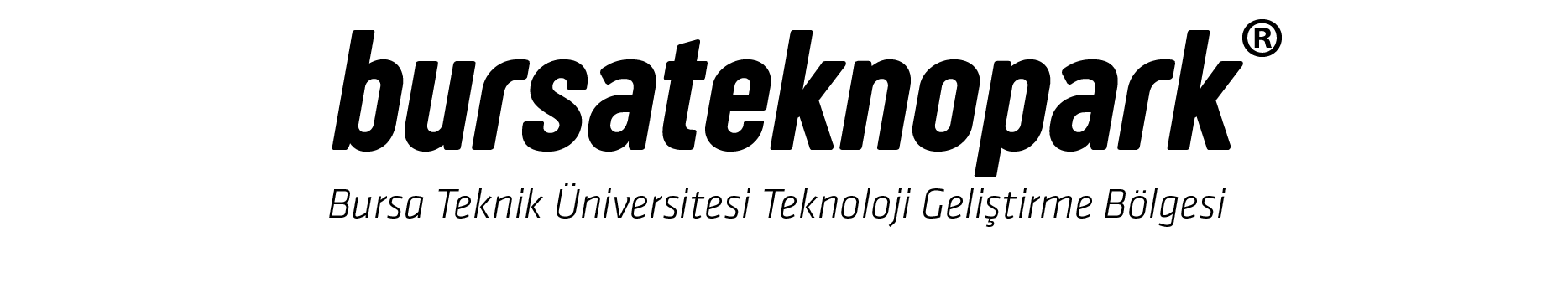 Paydaş 1